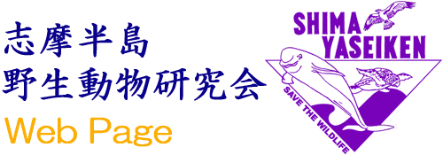 �u�������쐶����������